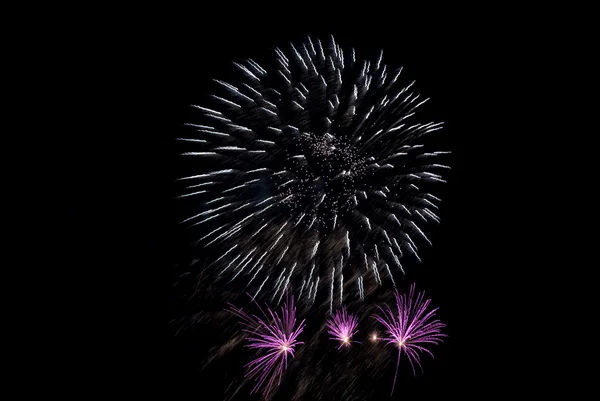 Vacanze Salute, fuochi d'artificio nella notte s Immagini Stock Royalty Free