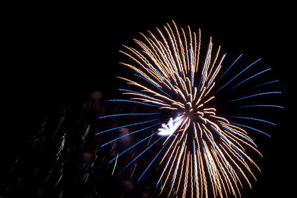 Tatil Selam, fireworks uygulamasında gece s Stok Resim