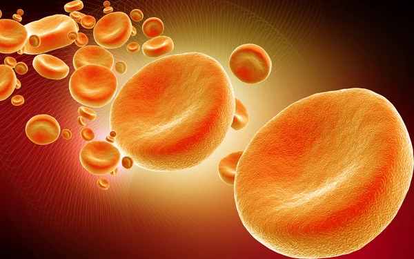Kan hücreleri — Stok fotoğraf
