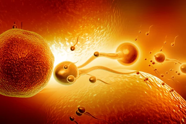 Sperm — Stock Photo, Image