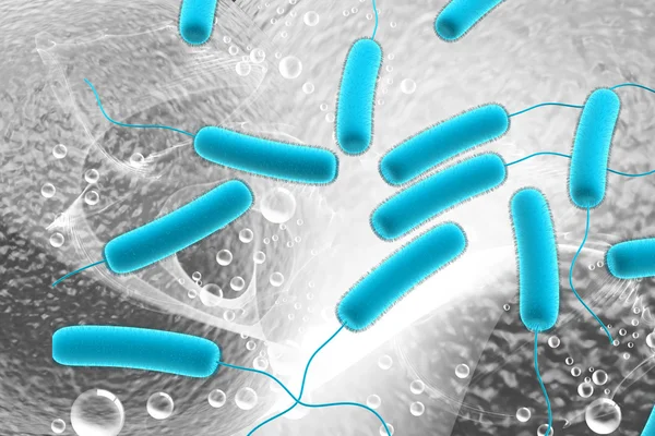 Bactéries Coli — Photo