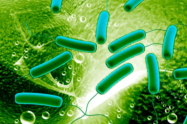 Bakteri Coli — Stok Foto