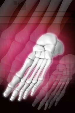 Foot skeleton clipart