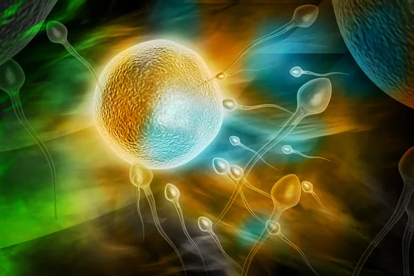 Sperm — Stock fotografie
