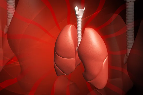 인간 폐 — 스톡 사진