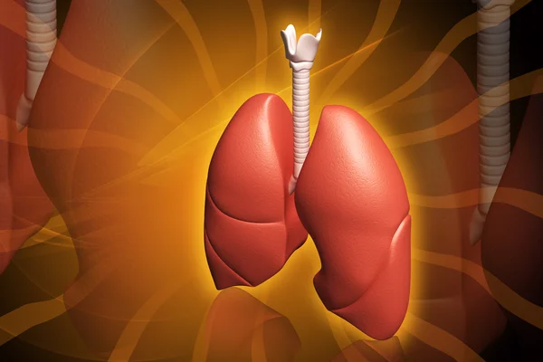 人类的肺 — 图库照片