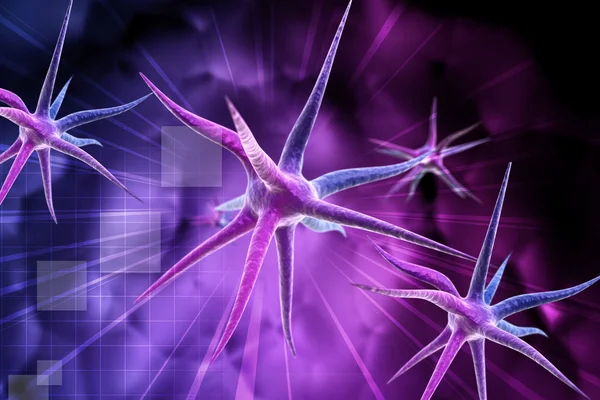 ニューロン — ストック写真