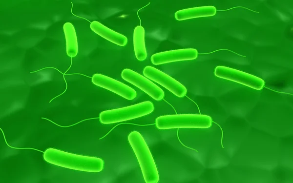 Bakterie — Zdjęcie stockowe