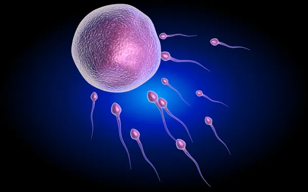 Sperm — Stock fotografie