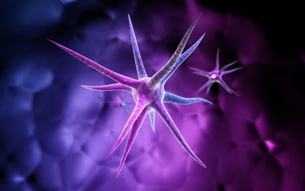 Neuron — Stock Photo, Image