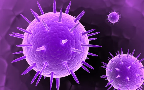 Calicivirus — Stok fotoğraf