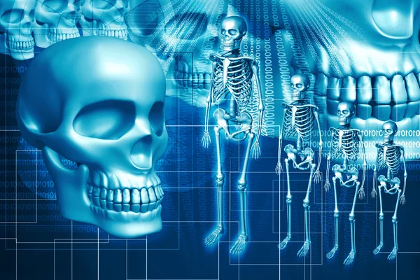 Szkielet i ludzkiej czaszki — Zdjęcie stockowe