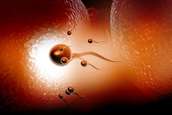 Сперма — стоковое фото
