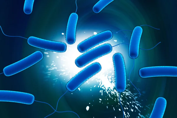 大腸菌の細菌 — ストック写真