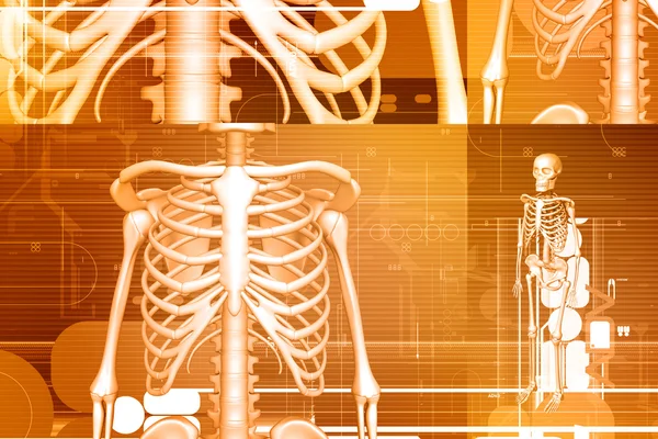 Ψηφιακή απεικόνιση σκελετού σε έγχρωμο φόντο — Φωτογραφία Αρχείου