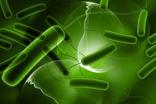 3d візуалізований крупним планом бактерії колі на цифровому фоні — стокове фото