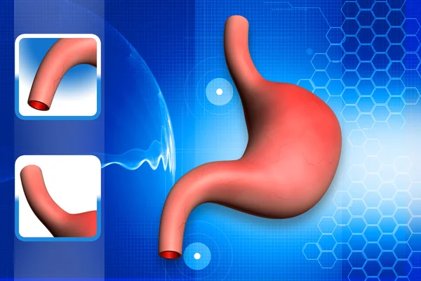 Ilustración digital del estómago humano 3d en fondo de color — Foto de Stock
