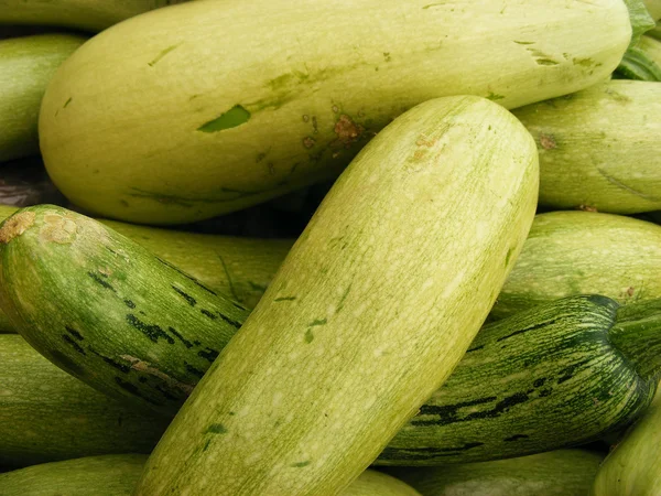 Zucchini Stock Image