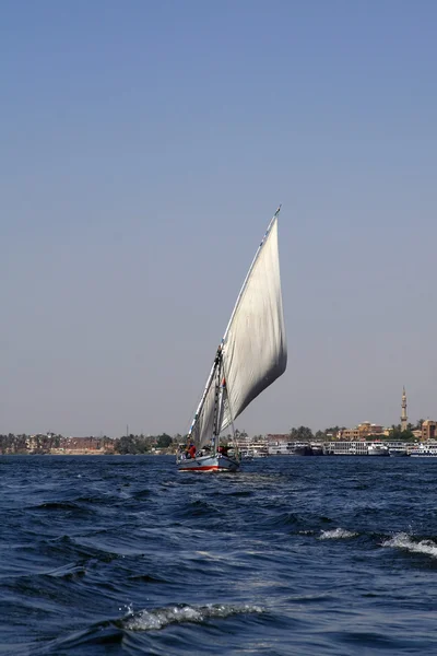 Feluka egípcio tradicional no Nilo — Fotografia de Stock