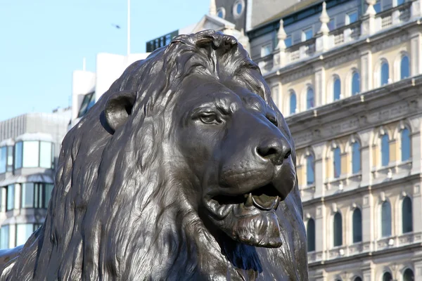 Brittiska lejonet — Stockfoto
