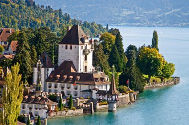 Oberhofen castle clipart