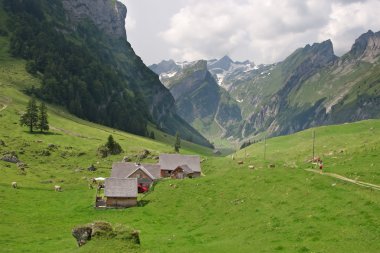 İsviçre Alpleri'nde hiking