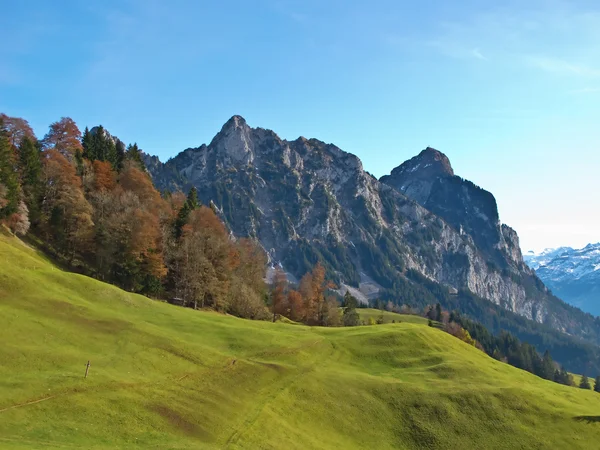 Осінь в Альпах — стокове фото