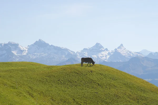 Ελβετικό τοπίο — Φωτογραφία Αρχείου
