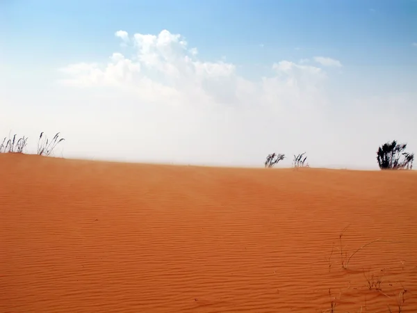 Κόκκινη άμμο της ερήμου — Φωτογραφία Αρχείου