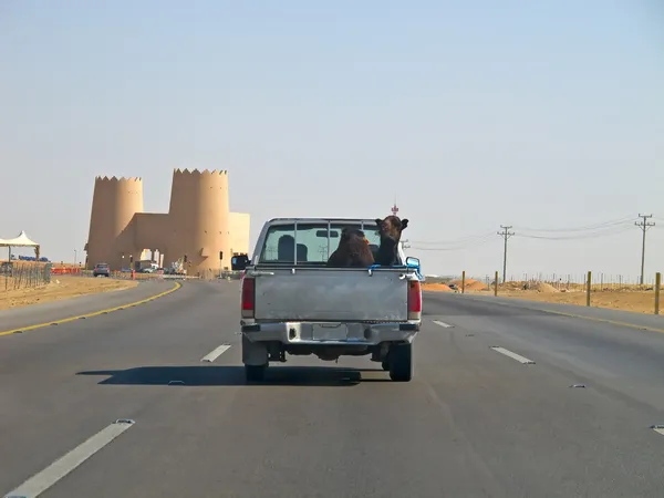 Road trough the Desert — Stock Photo, Image