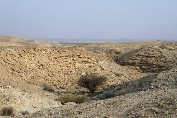 Piedra desierto — Foto de Stock