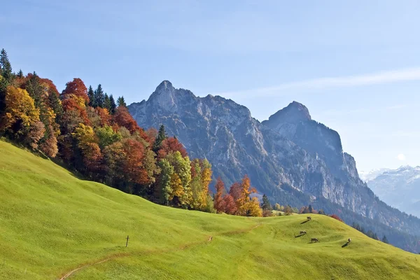 Sonbahar Alpleri'nde — Stok fotoğraf