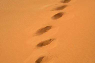 Footsteps on the sand clipart