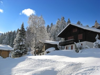 Kış tatil evi