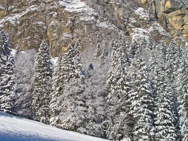 Invierno en los Alpes — Foto de Stock