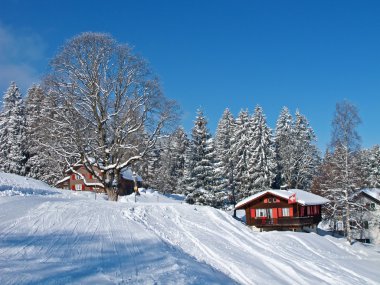 Kış tatil evi