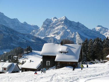 Alpin görünümü