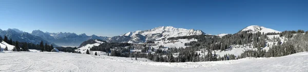 stock image Winter panorama