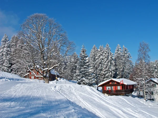 Kış tatil evi — Stok fotoğraf