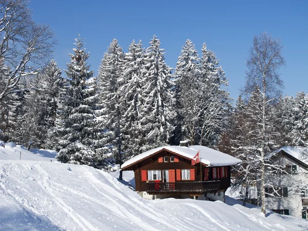 Зимові свята будинок — стокове фото