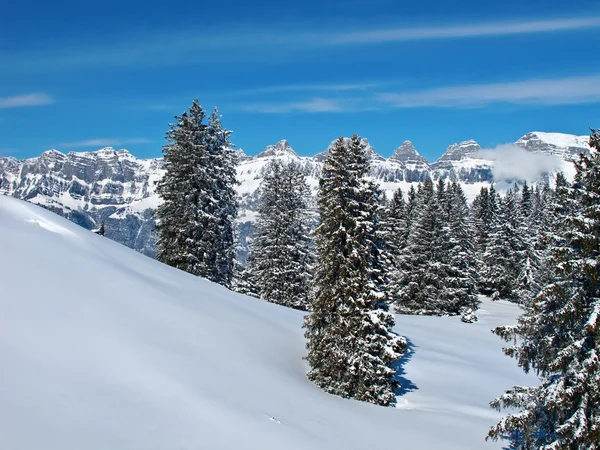 阿尔卑斯山的冬天 — 图库照片