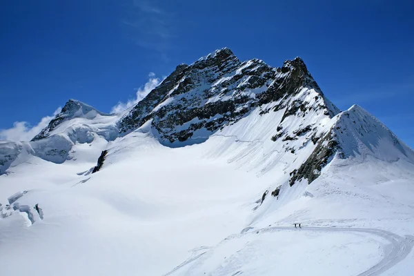 Regionie Jungfrau — Zdjęcie stockowe