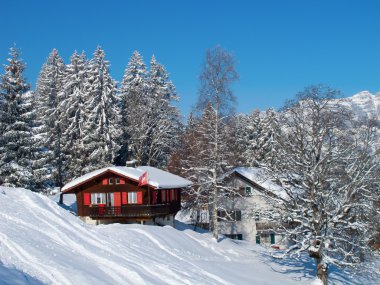 Kış tatil evi