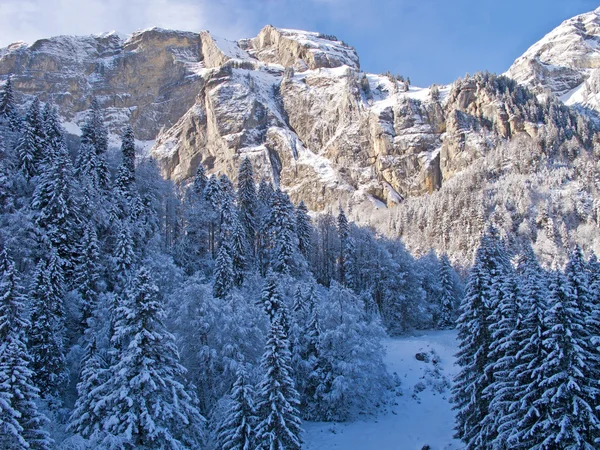 Vinter i Alperne - Stock-foto