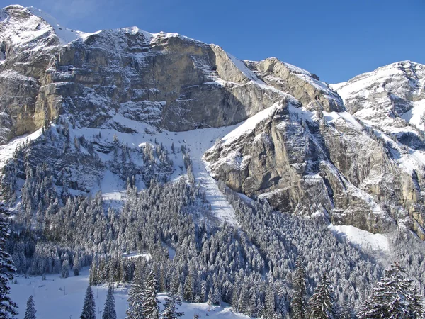 Inverno nelle Alpi — Foto Stock