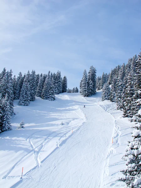 Landasan ski — Stok Foto