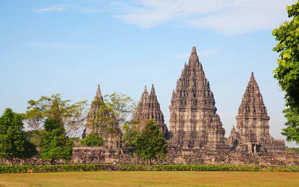 Templo hindu Prambanan — Fotografia de Stock