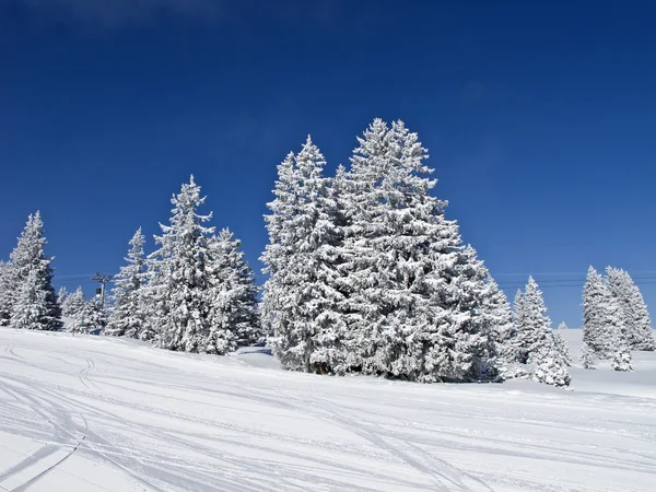 Inverno nelle Alpi Immagine Stock