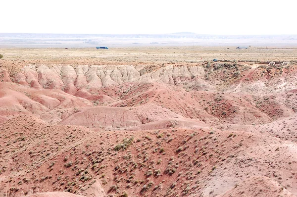 石化した砂漠 — ストック写真