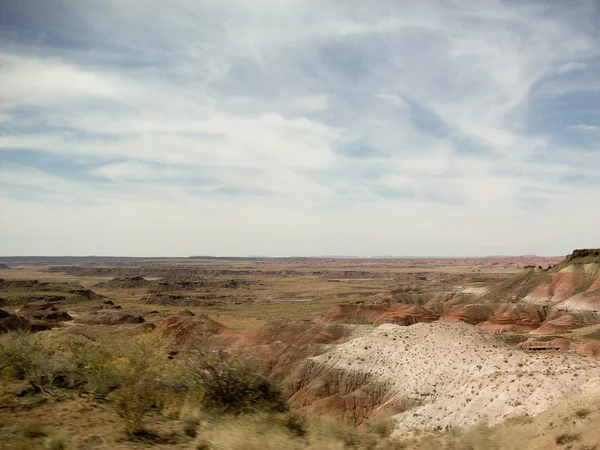 Petrified Forest and the Horizon — Stock Photo, Image